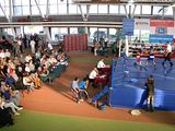 Чемпионат Самарской области по боксу памяти тренеров и спортсменов