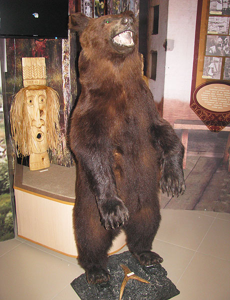 Медведь экспонат музея