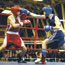Бокс международного уровня в Самаре